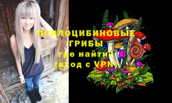 не бодяженный Михайловск